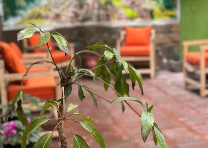 Tupac Yupanqui House 4* Cuzco